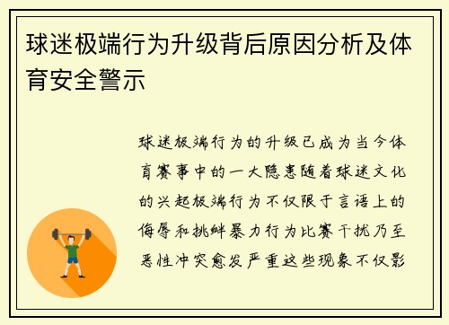 球迷极端行为升级背后原因分析及体育安全警示